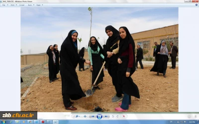 هفته درختکاری