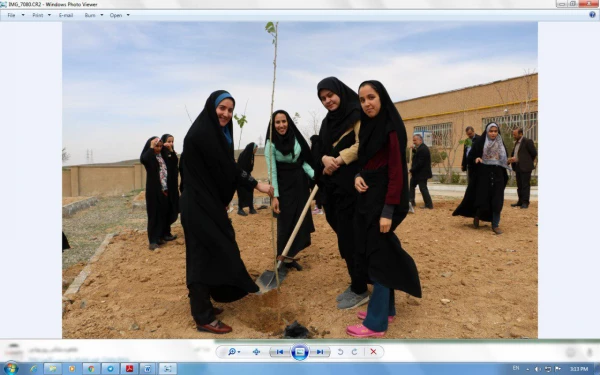 هفته درختکاری 2