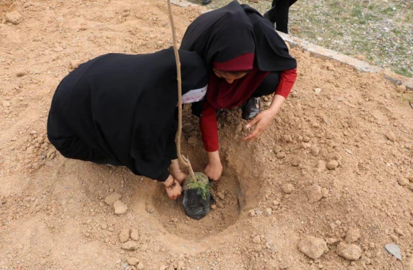 هفته درختکاری 3